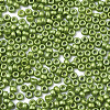 Frosted Opaque Glass Seed Beads X-SEED-S042-06A-02-3