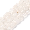 Natural Quartz Crystal Beads Strands G-G146-A29-01-1