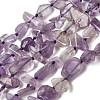 Natural Amethyst Beads Strands G-D365-E03-02-2