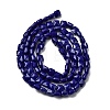 Opaque Glass Beads Strands GLAA-L050-C23-2
