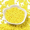 Baking Paint Glass Seed Beads SEED-B001-02A-03-2