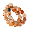 Flat Round Gemstone Natural Red Agate Stone Beads Strands G-S110-03-4