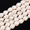 Opaque Glass Beads Strands EGLA-T008-16M-1