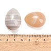 Natural Botswana Agate Egg Stone GG-L654-H02-11-3