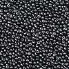 6/0 Glass Seed Beads X1-SEED-L011-08A-10-3