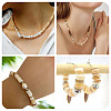 1 Strand 2 Styles Natural Freshwater Shell Beads Strands SHEL-TA0001-43-9
