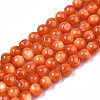 Natural Freshwater Shell Beads Strands X-SHEL-N003-24-B06-1