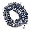 Natural Blue Spot Jasper Beads Strands G-L649-C01-01-3