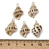 Brass & Natural Shell Pendants SH-CBA27C9-03-3