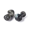 Natural Labradorite Mushroom Display Decorations G-Q602-03F-2