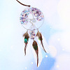Woven Net/Web with Feather Gemstone Chips Pendant Decorations LS-TREE-PW0003-03C-1