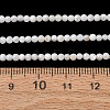 Natural Freshwater Shell Beads Strands SH-CBA2978-07D-02-4