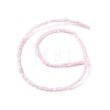 Natural Freshwater Shell Dyed Beads Strands SHEL-M018-12-09-2