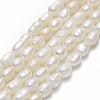 Natural Cultured Freshwater Pearl Beads Strands PEAR-J006-10D-02A-1