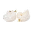 Natural Couch Shell Pendants SH-CBAB405-02G-2