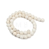 Natural White Shell Beads Strands BSHE-U001-01C-2