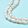Natural Cultured Freshwater Pearl Beads Strands PEAR-E016-151-4