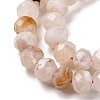 Natural Cherry Blossom Agate Beads Strands G-K380-A43-03-4