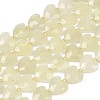 Natural Lemon Quartz(Heated) Beads Strands G-P592-B04-01-2