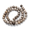 Natural Silver Leaf Jasper Beads Strands G-E444-35A-8mm-4