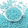 Rubberized Style Glass Seed Beads SEED-Z003-01D-2