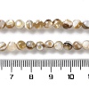 Natural Freshwater Shell Beads Strands X-SSHEL-B002-15-4