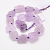 Natural Amethyst Beads Strands G-G543-03B-2