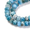 Natural Apatite Beads Strands G-F770-D09-02A-4