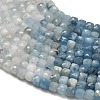 Gradient Color Natural Devil Blue Aquamarine Beads Strands G-NH0072-C01-02-5