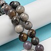 Natural Dendritic Jasper Beads Strands G-R494-A23-03-4