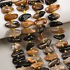Natural Grey Opal Beads Strands G-K393-B07-1