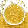 6/0 Spray Paint Fringe Glass Seed Beads SEED-H003-11A-3