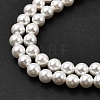 Electroplated Shell Pearl Beads Strands BSHE-K017-5mm-01-3