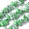Dyed Natural Trochus Shell Beads Strands SSHEL-C013-09H-1