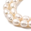 Natural Cultured Freshwater Pearl Beads Strands PEAR-I007-01P-03C-4