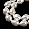 Electroplated Shell Pearl Beads Strands SH-CBA6AE6-01B-2