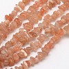 Chips Natural Sunstone Beads Strands G-N0164-54-1