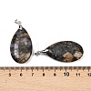 Natural Labradorite Pendants G-D084-01P-B07-6