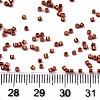 11/0 Grade A Glass Seed Beads SEED-S030-1210-4