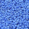 8/0 Glass Seed Beads X1-SEED-A010-3mm-43B-2