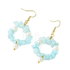 Natural Gemstone Beaded Dangle Earrings EJEW-JE07215-5