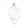 304 Stainless Steel Resin Pendants STAS-K322-11A-G-1