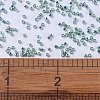 MIYUKI Delica Beads SEED-X0054-DB0415-4