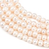 Natural Cultured Freshwater Pearl Beads Strands PEAR-D003-01C-02-4