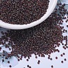 MIYUKI Round Rocailles Beads SEED-G007-RR4503-1