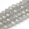 Glass Beads Strands EGLA-A044-J6mm-D10-1