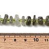 Natural Green Quartz Beads Strands G-L649-C03-01-5
