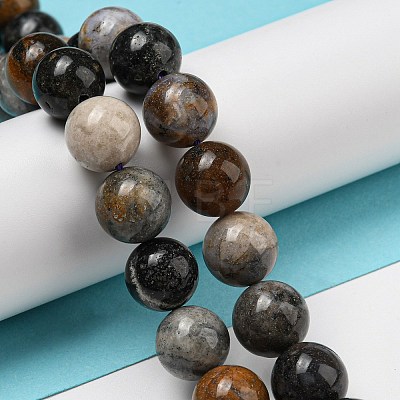 Natural Dendritic Jasper Beads Strands G-R494-A23-04-1