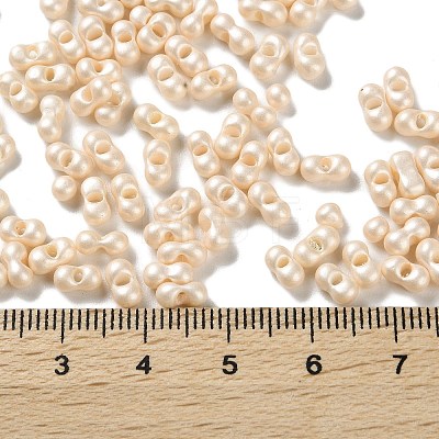 Glass Seed Beads SEED-L011-04A-10-1