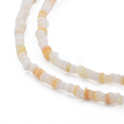 Natural Freshwater Shell Beads Strands SHEL-S278-066C-1